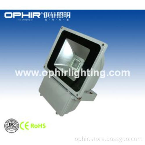 Stainless Steel Waterproof BridgeLux High Lumens Floodlight 100W